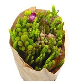 Bqt cape mix 40 - BQTCAPMIX