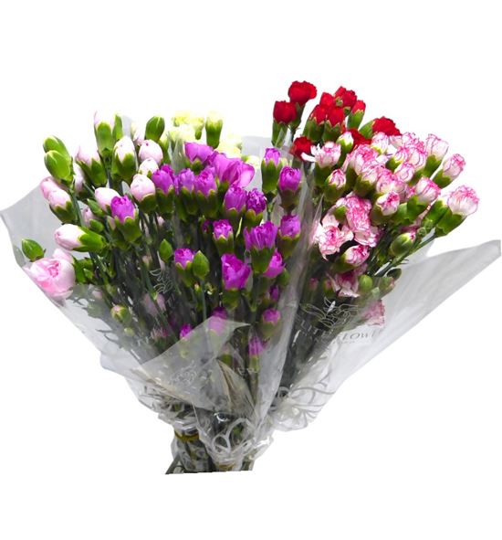 Clavel mini mixto - CLAMMIX