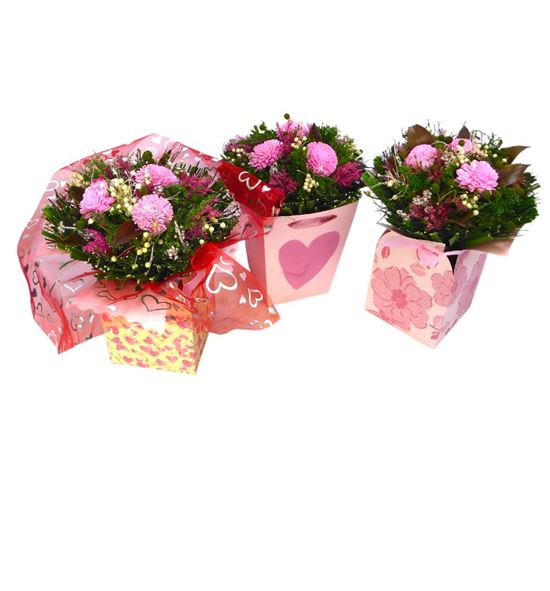 Bqt jm rosa con envase - BQTJMROSENV