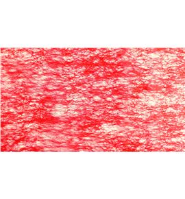 Bobina decofibra 70cm*25m rojo - ST-43002-123