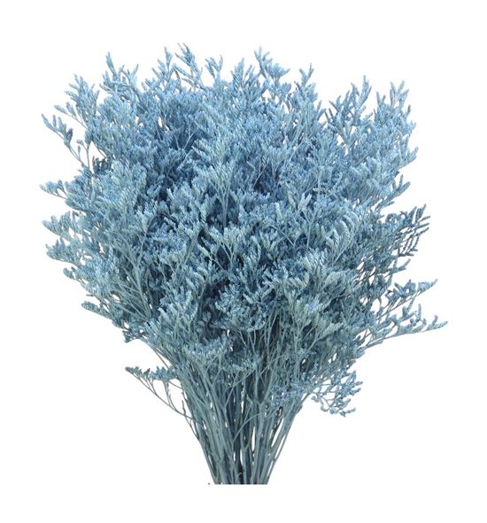 Limonium teñido azul claro 70 - LIMTENAZUCLA