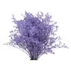 Limonium teñido milka 70 - LIMTENMIL