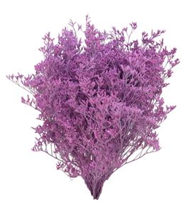 Limonium teñido rosa claro 70 - LIMTENROSCLA