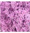 Limonium teñido rosa claro 70 - LIMTENROSCLA1