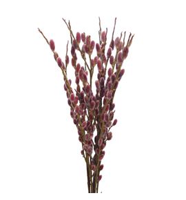 Salix snowflake pink cushion 70 - SALSNOPINCUS