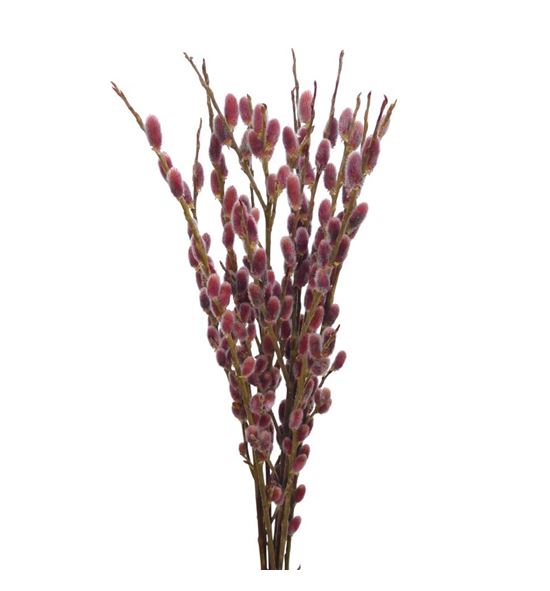 Salix snowflake pink cushion 70 - SALSNOPINCUS