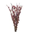 Salix snowflake pink cushion 70 - SALSNOPINCUS
