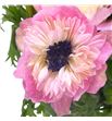 Anemona levante rosa chiaro 42 - ANELEVROSCHI1