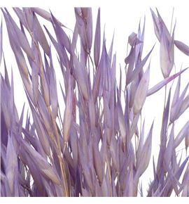 Avena seca frosted milka - AVESECFROMIL