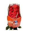 Rosa ecu blush 50 - REBLU