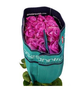 Rosa ecu queens crown 40 - REQUECRO