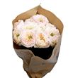 Rosa hol tinkeebell 60 - RGRTIN