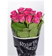 Rosa hol. orchestra 70 - RGRORC