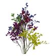 Limonium teñido mixto - LIMTENMIX