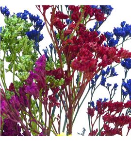 Limonium teñido mixto - LIMTENMIX