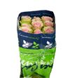 Rosa ecu frutteto 70 - RCFRU