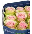 Rosa ecu frutteto 70 - RCFRU1