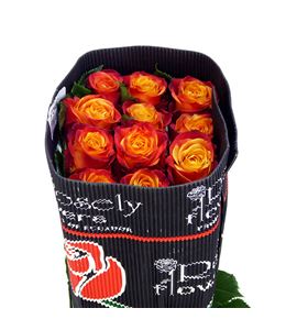 Rosa ecu atomic 50 - REATO