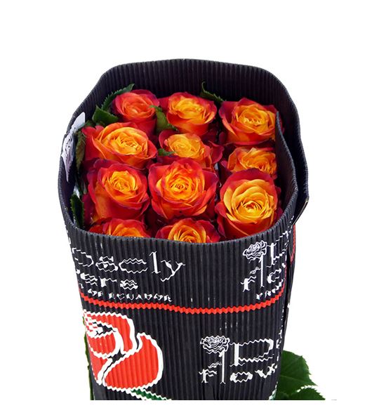 Rosa ecu atomic 50 - REATO