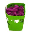 Rosa ecu blueberry 50 - REBLUE