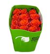 Rosa ecu ceyenne 50 - RECEY