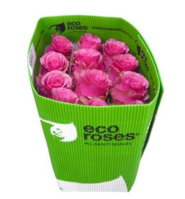 Rosa ecu cherry mist 50 - RECHEMIS