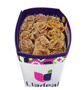 Rosa ecu golden dawn 60 - REGOLDAW