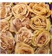 Rosa ecu golden dawn 60 - REGOLDAW1