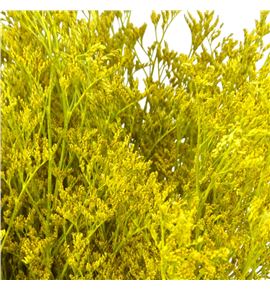 Limonium teñido amarillo 70 - LIMTENAMA