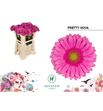 Gerbera pretty nova 50 x15 - GERPRENOV5010