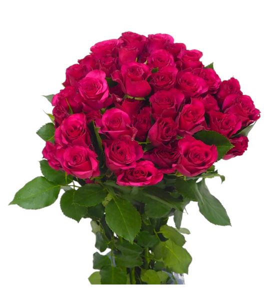 Rs ramificada roseberry 50 - RTRROSEB