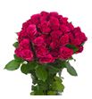 Rs ramificada roseberry 50 - RTRROSEB
