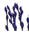 Salix snowflake azul oscuro 70 - SALSNOAZUOSC1