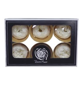 Rosa preservada niki white 01xl 6 unid - ROSNIKWHI011