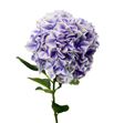 Hydr sunsation morado 60 - HYDSUNMOR