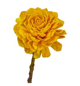 Stick shola dahlia amarilla 50 - STIDAHAMA