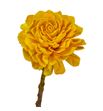Stick shola dahlia amarilla 50 - STIDAHAMA
