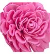 Stick shola dahlia rosa claro 50 - STIDAHROSCLA1