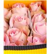Rosa ecu luciano 40 - RCLUC1