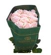 Rosa ecu sweet beat 60 - RESWEBEA
