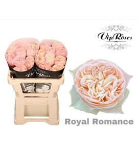 Rosa hol royal romance 60 - RGRROYROM