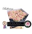 Rosa hol ballerina summerhouse 70 - RGRBALSUM