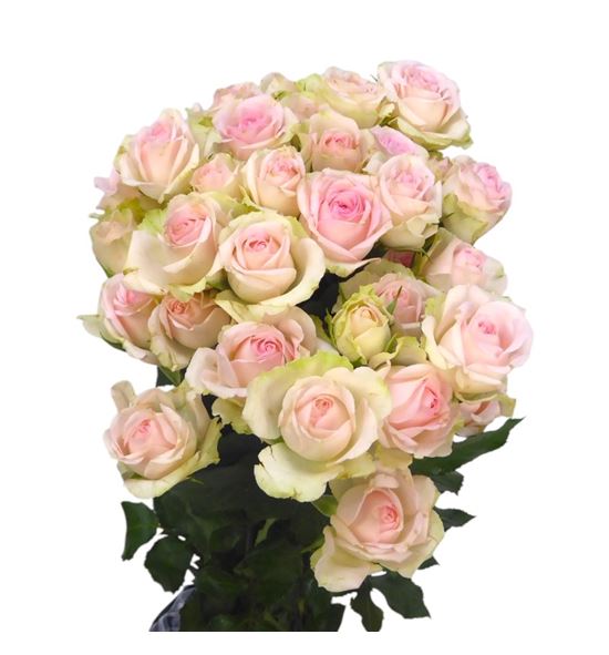 Rs ramificada happy wedding 70 - RTRHAPWED