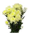 Marg hol pina colada cream - MHPINCOLCRE