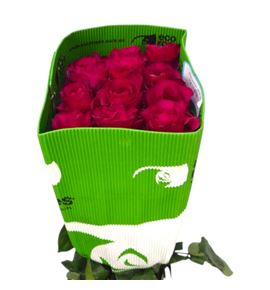 Rosa ecu wild dancer 60 - REWILDAN
