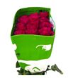 Rosa ecu wild dancer 60 - REWILDAN