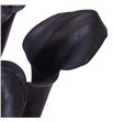 Cala call ceara 65 - ZANCALCEA1