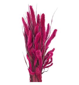 Setarea sugar pink - SETSUGPIN