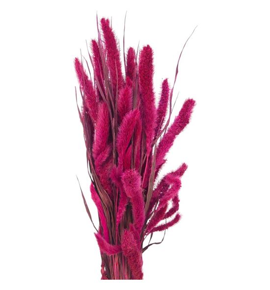 Setarea sugar pink - SETSUGPIN
