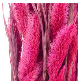 Setarea sugar pink - SETSUGPIN